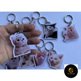 Móc khoá mica mèo meme cute đáng yêu - ĐH