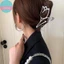 Sund Tóc Bắt Kim Loại Móng Vuốt Tóc Nữ Kẹp Tóc Nữ Mũ Đội Đầu Bé Gái Phụ Kiện Tóc VN