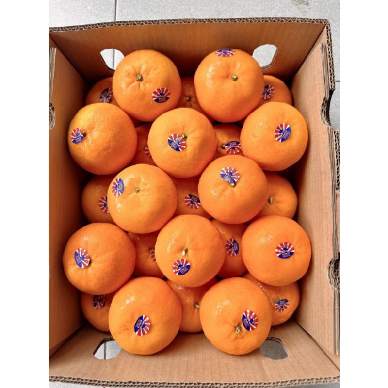 Quýt Úc Siêu Ngọt 🍊 Trái Căng Bóng – Vị Ngọt Mát Lành – Giao Nhanh Tận Nhà