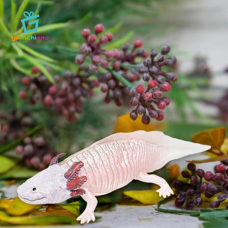 Gamchiano Salamander Nhân Vật Hành Động Đồ Chơi Hình Động Vật Mô Hình Bánh Topper Tiếp Liệu Đồ Chơi Giáo Dục Mô Phỏng Salamander Đồ Chơi Cho Tuổi 3 +