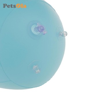 10 Mô Hình Mông Bơm Hơi Mông Mông Mannequins Tã Màn Hình Đứng Thiết Thực Và Dễ Sử Dụng PVC Cho Cửa Hàng