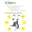 Xe đạp tập liên hoàn Life Span( Màu vàng),xe đạp tập toàn thân tại nhà giá rẻ,Bảo hành 1 năm