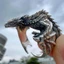 Nhẫn Rồng JUNYUE88US, Mở Nhẫn Đôi Cánh Pterosaur Có Thể Điều Chỉnh, Nhẫn Rồng Đen Phong Cách Punk Tinh Tế Retro Vintage Cho Nam