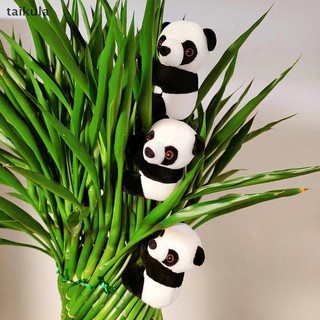 QwQ Gấu Trúc Sang Trọng Búp Bê Mềm Động Vật Gấu Trúc Kẹp Ôm Rèm Kẹp Búp Bê taikula
