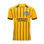 2024-2025 Premier League Brighton Hove Albion Câu lạc bộ bóng đá sân khách Áo thun Fan Size Plus