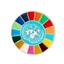 BTF Men Mục tiêu phát triển bền vững Pin Liên Hợp Quốc SDGs Trâm Phụ kiện 17 màu Trâm cài Unisex Huy hiệu trang sức