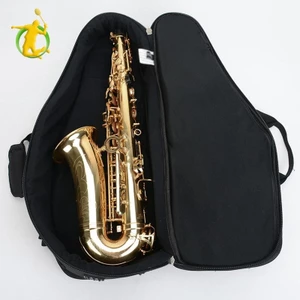 Túi Sax Gig Alto Saxophone Case Túi Saxophone, Oxford cho Saxphone, Woodwind
