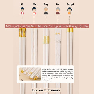 Bộ 5 Đôi Đũa Kháng Khuẩn Đầu Đũa Trơn Bunnies Đũa Sợi Thủy Tinh Ăn Cơm Cao Cấp Kiểu Dáng Hiện Đại