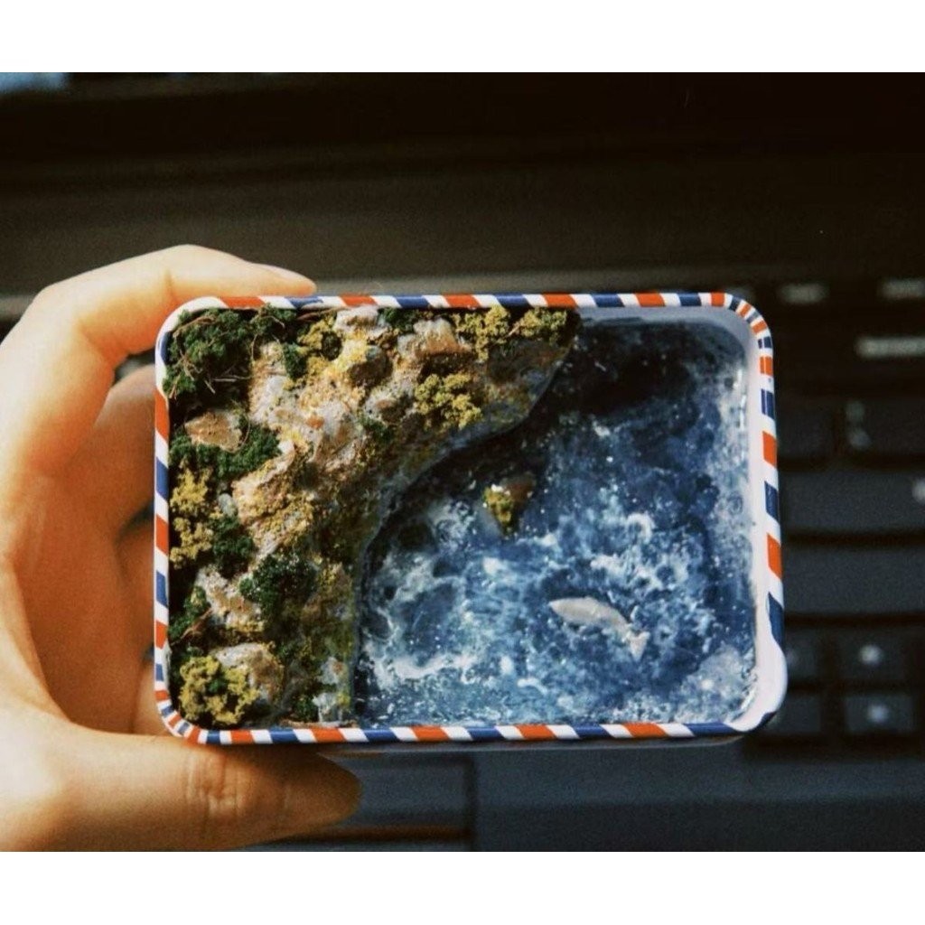 [Giảm Giá] Influencer Cùng Phong Cách Dạ Quang Bán Đảo Handmade Thu Nhỏ Phong Cảnh Đại Dương Hộp Sắt Chất Liệu Gói Nhóm Máy Tính Để Bàn Giá Trị Cao