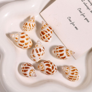 Tự nhiên Conch Ocean Series 3D Conch Phụ kiện Trang sức Tự làm Bông Tai Mũ nón Mặt Dây chuyền Phụ nữ Chất liệu Bán buôn