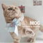 【Ready Stock】 Pearl Bow Pet Cream Bib Bow Tie Lace-up Adjustable Cat Small Dog Photo kD2u