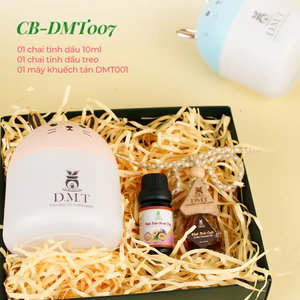 Quà tặng bạn trai, quà tặng người yêu, quà tặng học sinh, 1 tinh dầu 10ml,1 treo xe,1 máy khuếch tán