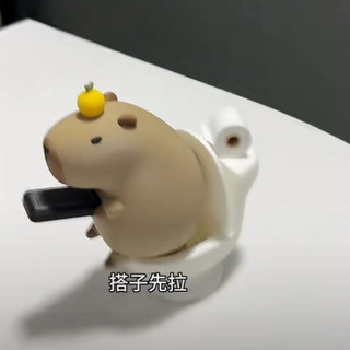 Kapibara Toilet Dolphin Đồ trang trí từ tính Đồ trang trí sáng tạo với bộ sưu tập sinh viên cá cảm ứng lương