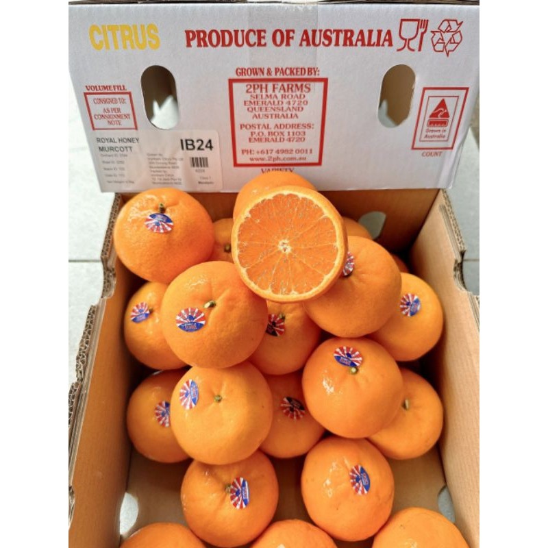 Quýt Úc Siêu Ngọt 🍊 Trái Căng Bóng – Vị Ngọt Mát Lành – Giao Nhanh Tận Nhà