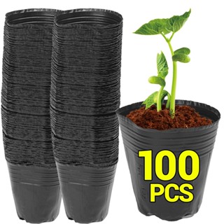 50 100 Chiếc Nhựa Hạt Giống Chậu Hạt Đen Trồng Túi Hoa Hộp Đựng Thoáng Khí Vườn Rau Chậu Trồng 100 cái phù hợp dùng cho gia đình căn hộ văn phòng và không gian nhỏ giúp sắp xếp làm sạch gọn gàng và sử dụng hằng ngày tiện lợi