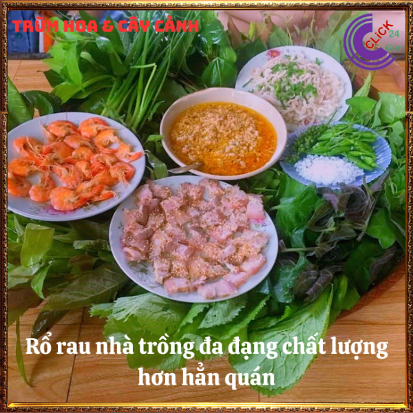 Chậu rau húng cây thơm ngon dậy vị cho món ăn rau nhà trồng mãi đỉnh⏰ TRÙM HOA VÀ CÂY CẢNH