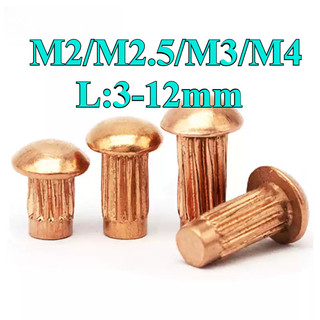 ((LXY) Đinh tán Đầu tròn Đồng m2 / m2.5 / m3 / m4 (RM-VN-1)