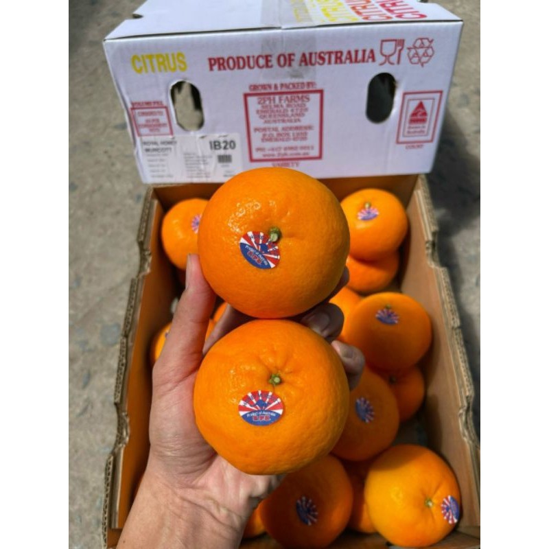 Quýt Úc Siêu Ngọt 🍊 Trái Căng Bóng – Vị Ngọt Mát Lành – Giao Nhanh Tận Nhà