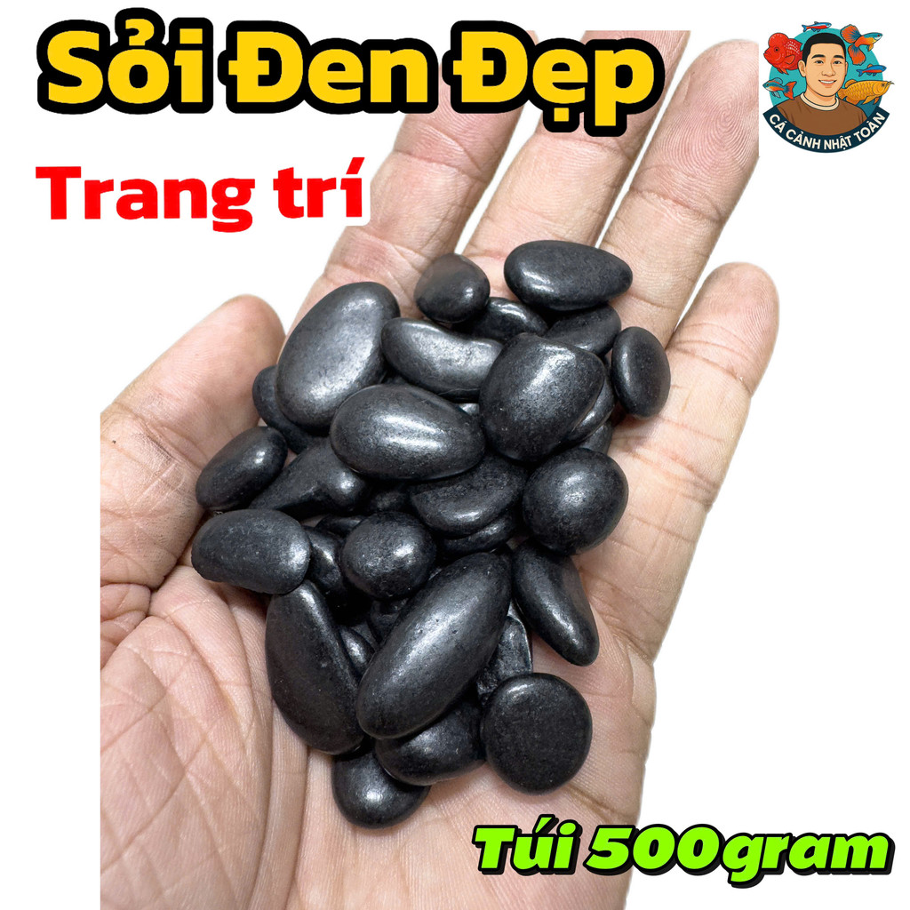 Túi 500gram Sỏi Đen Nhập Đẹp Trang Trí Bể Cá Cảnh, Tiểu Cảnh
