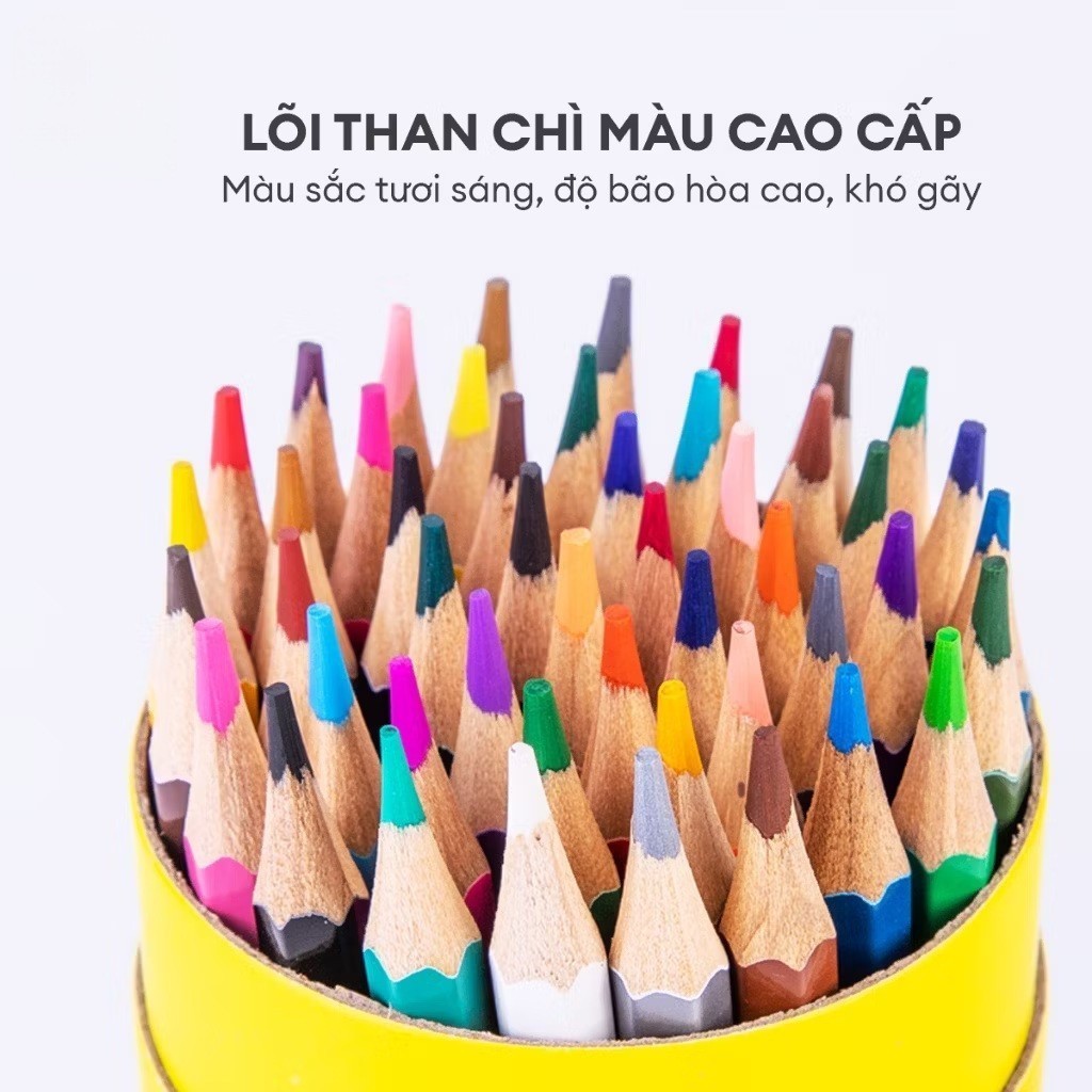 Bút Chì Màu Gốc Dầu Deli Dạng Cốc 12/24/36/48 Màu - Bút Chì Gỗ Khô Tự Nhiên An Toàn