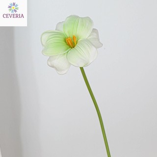 Mô phỏng hoa tulip không lá nở từ cao su non dài 30 cm, CEVERiA