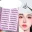 FAVORITEGOODS Lông mi giả thực tế không có keo, không cần keo dán ép vào cụm mi tự dính, kiểu dáng tự nhiên Cụm mi dán sẵn thủ công Cụm mi tự dính