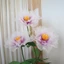 REELY Nhân Tạo Thực Tế Mẫu Đơn, Màn Hình Sàn Đầu Hoa Lớn Ngoài Trời, 50cm Trang Trí Tiệc Tại Nhà Lớp Cánh Hoa Lông Tơ Hoa Giả