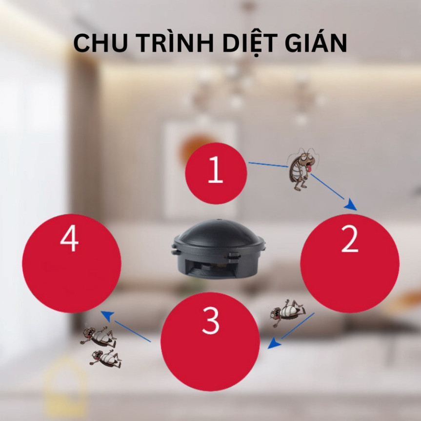 Hộp 12 Viên Diệt Gián Nhật Bản Tận Gốc An Toàn, Viên Đuổi Côn Trùng, Gián Sinh Học Tại Nhà Hiệu Quả Nhanh Chóng DT058