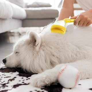 Bàn chải tắm cho thú cưng Bàn chải tắm cho 2026 Máy chà chó để tắm Bàn chải Massage chải lông cho dài có tóc ngắn cho mèo tắm silicone chống trượt tái sử dụng cầm tay nhỏ gọn an toàn