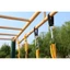 AWNGD Kids Garden Swing, Thiết bị tập thể dục bằng nhựa PP Đồ chơi xoay trẻ em, Dây có thể điều chỉnh bền bỉ Đồ chơi ghế treo trẻ em Quà tặng trẻ em