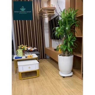 Kệ đế chậu cây di động có bánh xe và khay hứng nước thừa tiện lợi.