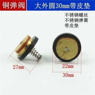 Phụ kiện máy bơm nước Máy bơm tự mồi Van kiểm tra Van kiểm tra Van kiểm tra Máy bơm nước có van tăng áp Bơm tăng áp Kiểm tra nước Van tăng áp đồng WF