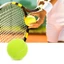 Quả bóng chơi thú cưng ROLY, Quả bóng Tennis không độc hại có độ đàn hồi, Cuộc thi bóng thực hành bền bỉ