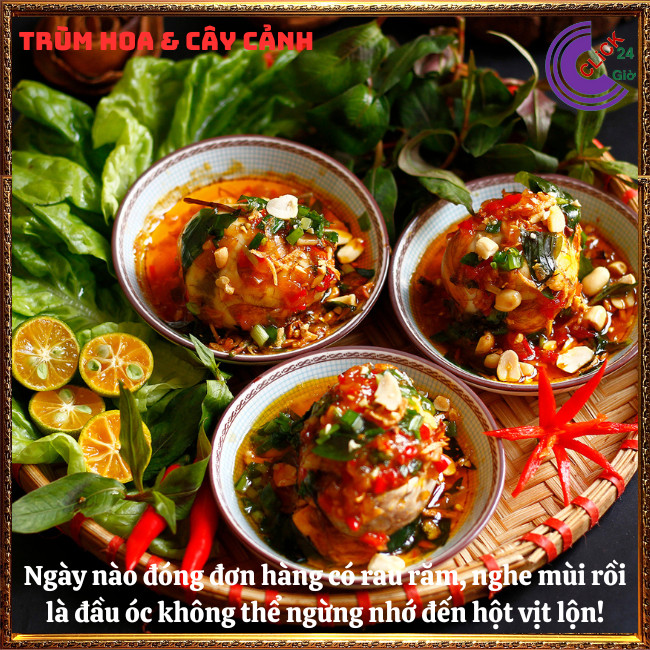 Chậu rau răm ta lá nhỏ rất thơm đem đến hương vị đặc biệt cho món ăn ⏰TRÙM HOA VÀ CÂY CẢNH