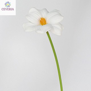 Mô phỏng hoa tulip không lá nở từ cao su non dài 30 cm, CEVERiA