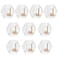 Exhila 10 Miếng Móc Treo Tường Acrylic Không Cần Vít Gắn Để Tổ Chức Tủ Tắm