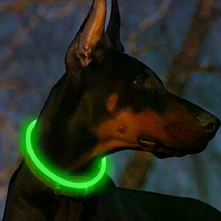 Vòng cổ chó LED phát sáng Vòng cổ chó USB có thể sạc lại TPU Glow An toàn Vòng cổ chó cơ bản cho lớn vừa nhỏ