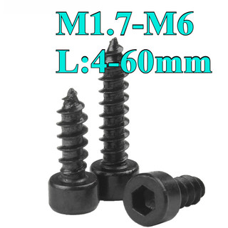 ((LXY) Vít Đầu Tròn/Ốc Vít Đầu Lục Giác  Bằng Thép Carbon M1.7 / M2 / M2.3 / M2.6 / M3M3.5 / M4 / M5 / M6 * L4-60mm (RM-VN-w)