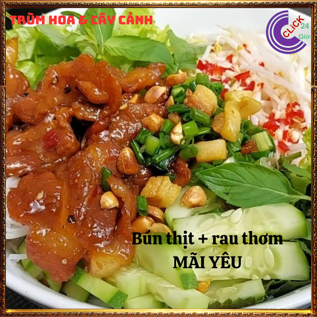 Chậu rau thơm húng bạc hà vừa ngon vừa là thảo dược quý rất nên trồng⏰ Hoa Mười Giờ Bonsai & Phụ Kiện