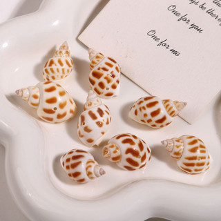 Tự nhiên Conch Ocean Series 3D Conch Phụ kiện Trang sức Tự làm Bông Tai Mũ nón Mặt Dây chuyền Phụ nữ Chất liệu Bán buôn