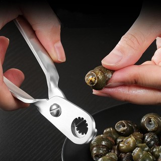 Dụng cụ cắt ốc sên bằng thép không gỉ Đa chức năng Kéo ốc sên Escargot Dụng cụ tẩy đuôi cắt chuyên nghiệp Dụng cụ vỏ ốc sên hải sản shopidaevn