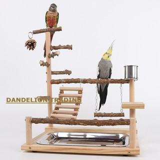 [DANDELION] Giá đỡ chim Vẹt Leo Lưới Khung leo Vẹt Giá đỡ huấn luyện Vẹt Cloud Thang xích đu Đồ chơi chim Cầu treo