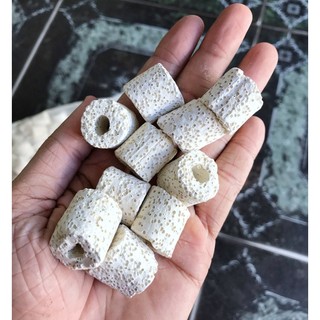 10 VIÊN SỨ LỌC VIÊN VẬT LIỆU LỌC HỒ CÁ NON BỘ