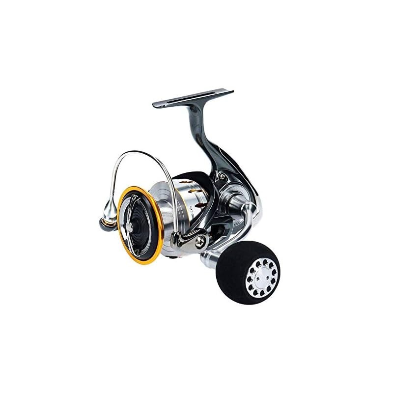 ダイワ ブラスト LT5000D-CXH (リール) 価格比較 - 価格.com