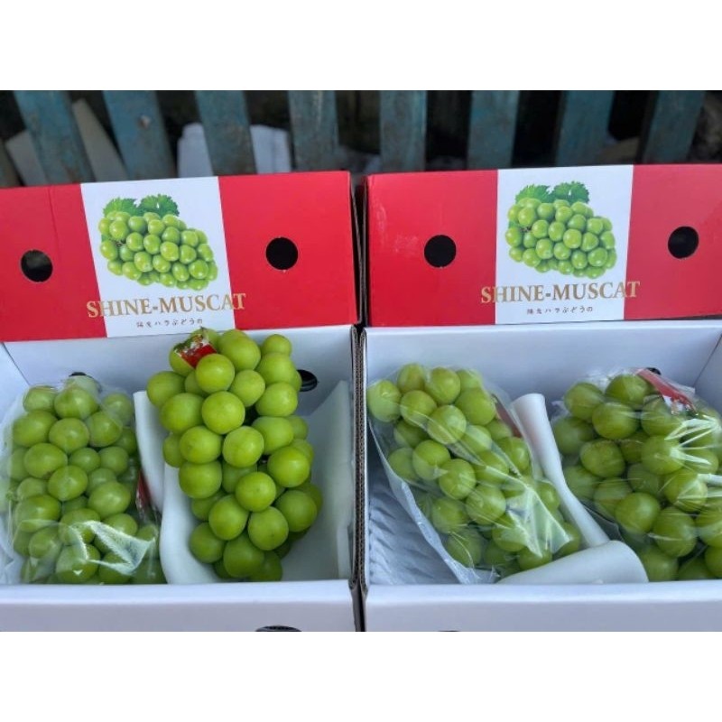 Shine Muscat ✨ Nho Mẫu Đơn Căng Bóng – Siêu Ngọt, Thơm Lừng – Giao Nhanh HCM- hộp 550-700g