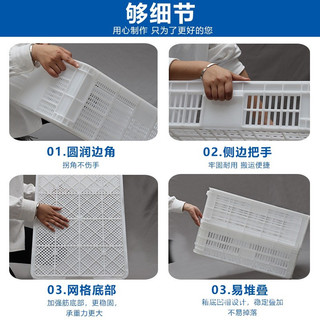 Giỏ Doanh Thu Nhựa Bền Giỏ Rau Quả Đa Năng Nhà Máy Bán Hàng Trực Tiếp 5 Năm Đảm Bảo Chất Lượng