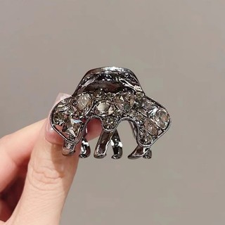 MAUROPOLI [Sẵn Sàng] Bí Ngô Cao Cấp Kích Thước Nhỏ Kẹp Tóc Đầu Lưng Nữ Kẹp Cá Mập Đuôi Ngựa Bóng