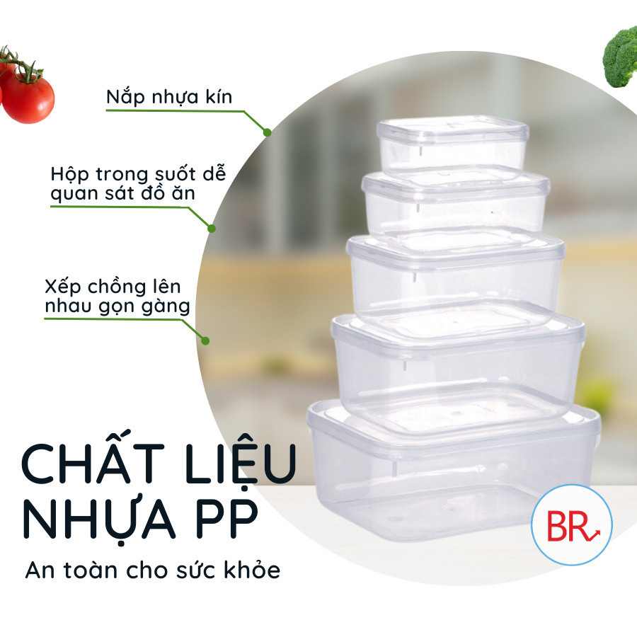 Bộ 5 hộp lạnh bầu đựng thức ăn Việt Nhật, Hộp trữ đồ đông đồ ăn dặm cho bé (MS:6685) an toàn tiện lợi - br 01285