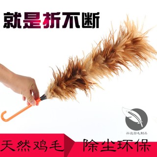 Chổi Lông Gà Mái Size Lớn Dài 60cm Loại Tốt Không Rụng Lông - Chổi Phủi Bụi Lông Gà - Chổi Quét Bụi - Chổi Phất Bụi ✨Luyoo34.vn✨