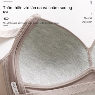 Đồ lót nữ mới mở rộng, không bằng thép, thoải mái và thoáng khí, cốc mỏng không từ tính, bề mặt nhẵn